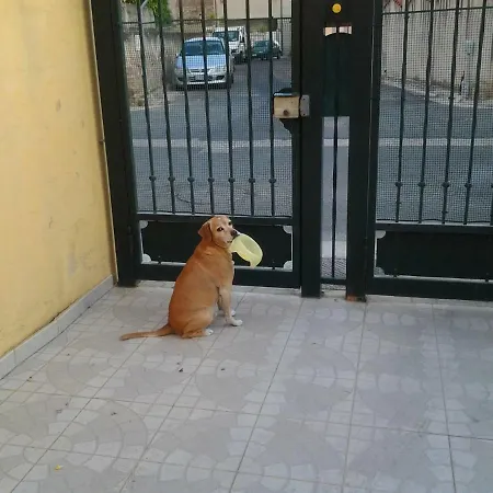 Panzió Il Sole