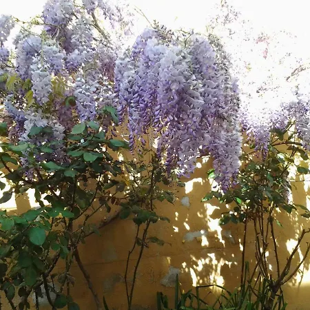 Il Sole Bed & Breakfast