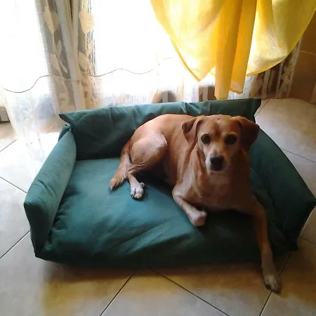 Il Sole Bed & Breakfast *